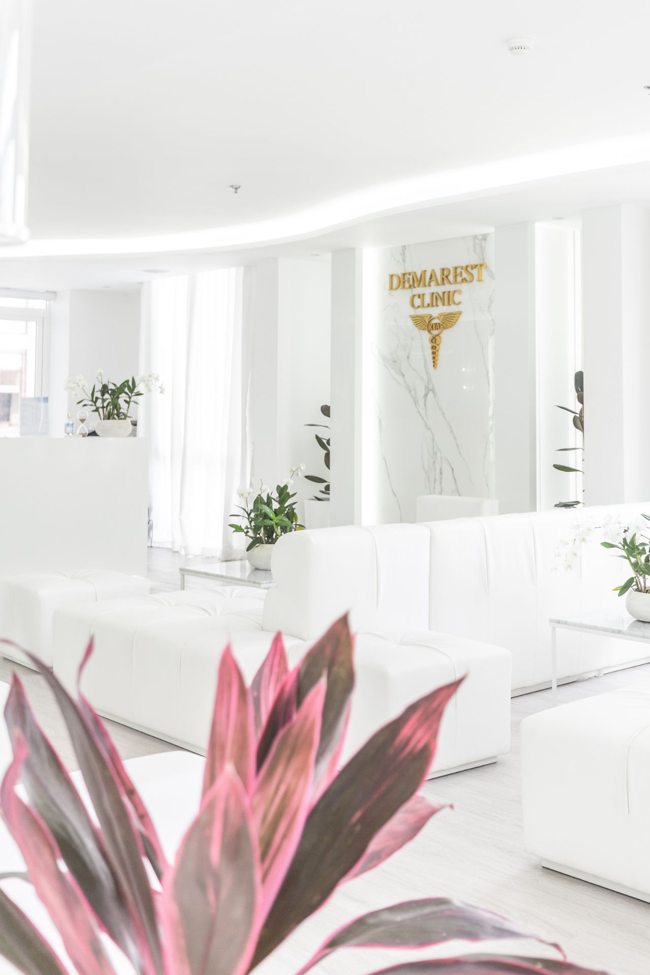 Demarest Clinic Gift Suite