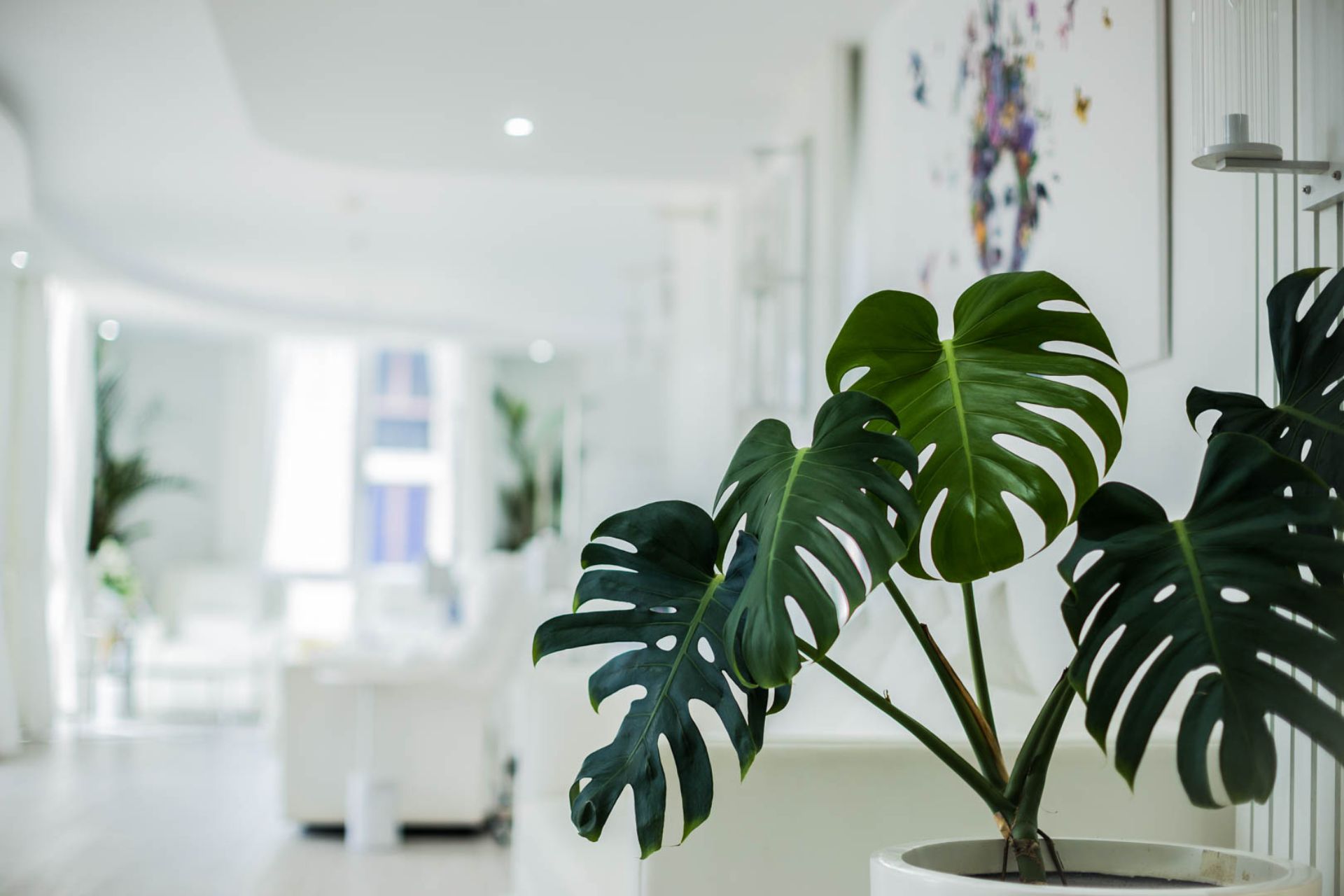 Demarest Clinic Interior